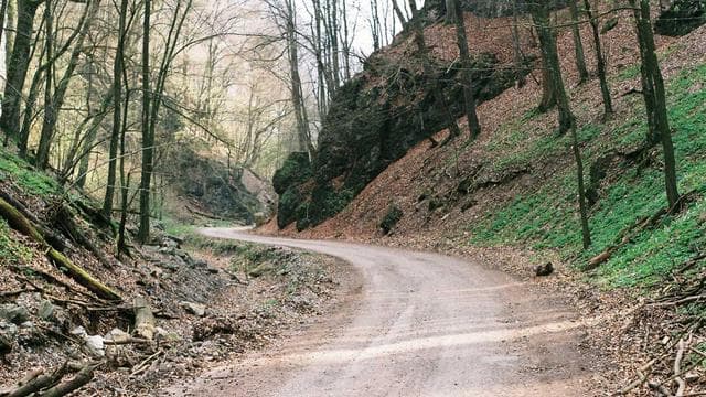 Championship Boxing Night