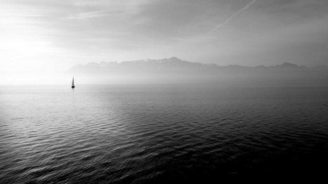 Morning Sports Roundup