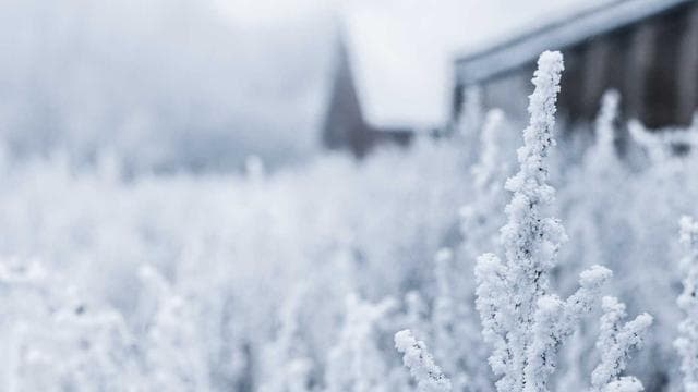 Rising Stars Documentary