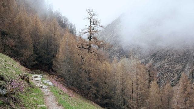 Post-Match Interview