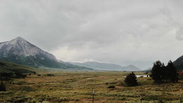 Season Preview Special