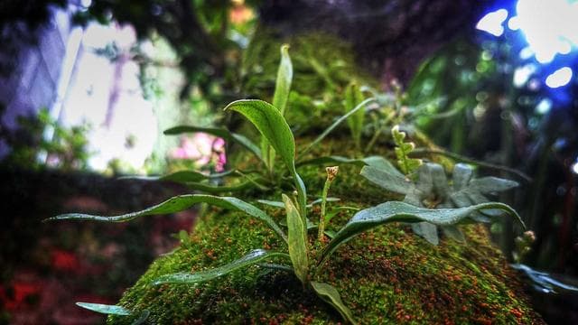 Post-Match Interview