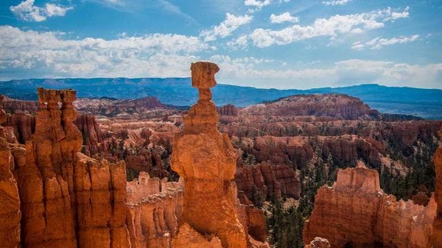 Season Preview Special