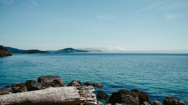 Athlete Profile: Journey to Greatness