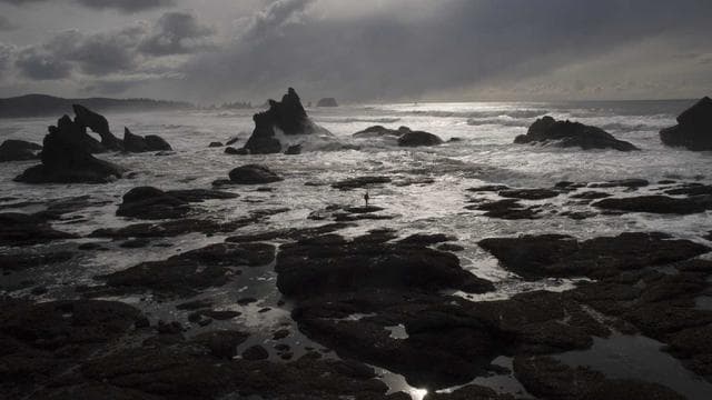 Training Day: Behind the Scenes