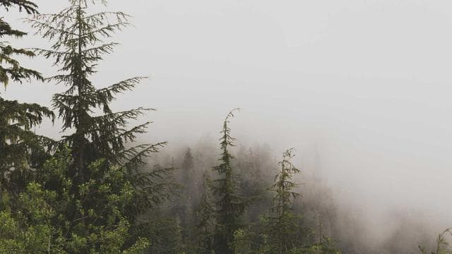 Rising Stars Documentary