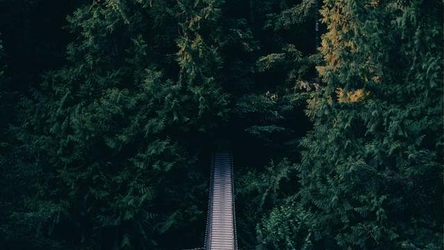 Post-Match Interview