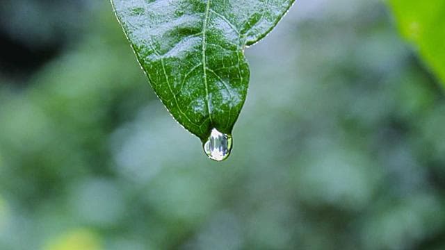 Match Highlights: Epic Showdown