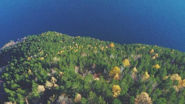 Training Day: Behind the Scenes