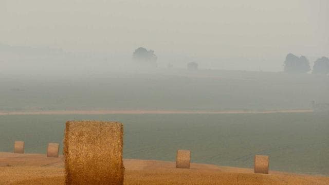 Rising Stars Documentary