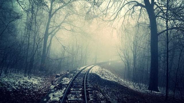 Season Preview Special