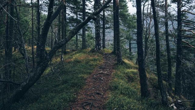 Championship Finals Recap