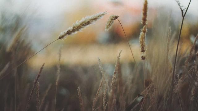 Post-Match Interview