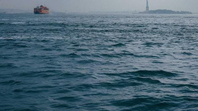 Season Preview Special