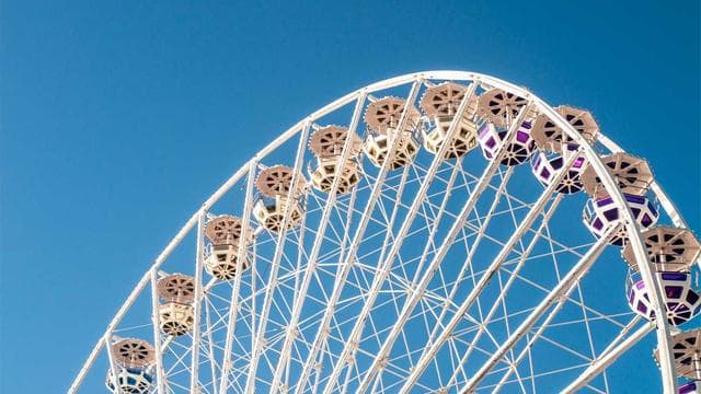 Championship Finals Recap