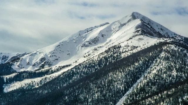 Athlete Profile: Journey to Greatness