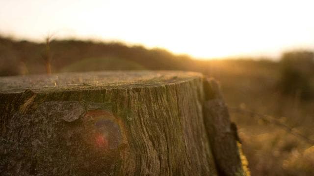 Match Highlights: Epic Showdown