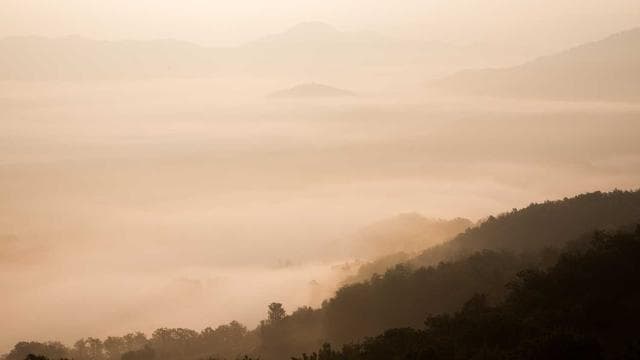 Rising Stars Documentary