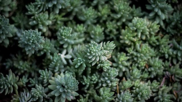 Classic Moments Revisited