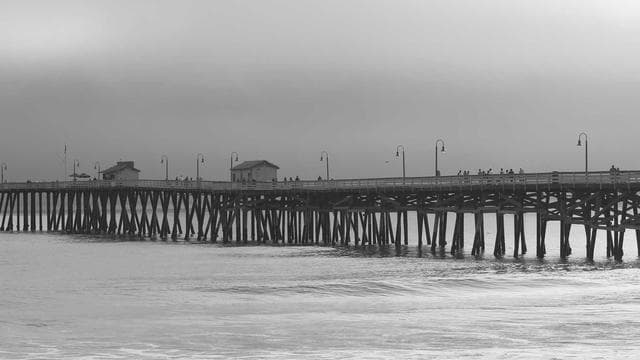 Training Day: Behind the Scenes