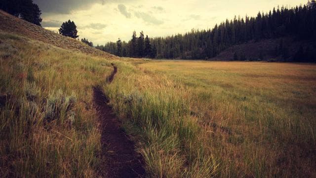 Rising Stars Documentary