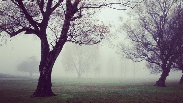 Post-Match Interview